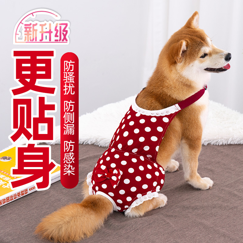 Pooch Physiology Pants Mother Dog Lady Dog Aunt Pants Safety Pants Sanitary Pants Menstrual Anti Harassing Chai Dog Teddy Anti Mating