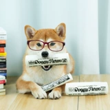 Собачные звуковые газеты игрушки, измельчение зубов, интерактивные скучные, маленькие и средние собаки