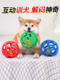 Dog toys for teeth grinding, teeth cleaning, chewing resistance, Shiba Inu French Dou, Teddy puppies, small and medium-sized dogs to relieve boredom, pets to be alone and playable
