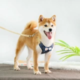 Собака с собакой собачья цепь ходьба для собак лучше