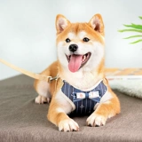 Собака с собакой собачья цепь ходьба для собак лучше