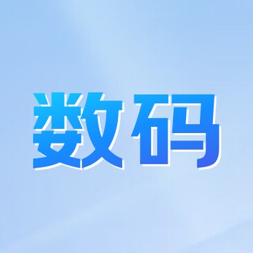 盛洋数码科技的LOGO