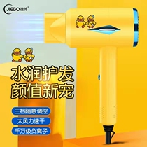 Electric hair dryer Home Small power portable Mini small student Dormitory Cold hot air Haircare negative ion