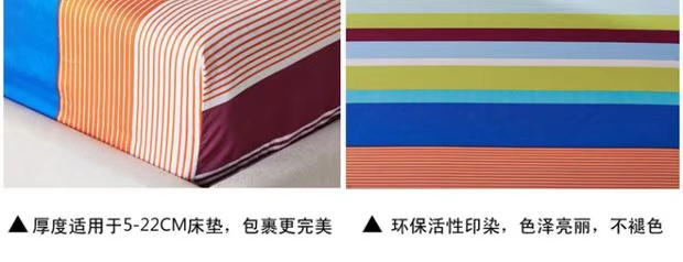 Được trang bị giường in váy bedspread duy nhất mảnh tấm vải liệm bảo vệ mùa xuân nệm giường bìa trượt 1,5 / 1,8 m - Trang bị Covers