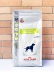 Thức ăn cho chó Hoàng gia DS37 Bệnh tiểu đường cho chó Thuốc theo toa Thức ăn cho chó 1,5kg Bệnh tiểu đường cho chó Glucose Cao Chính hãng Có thể kiểm chứng - Chó Staples hạt ganador Chó Staples
