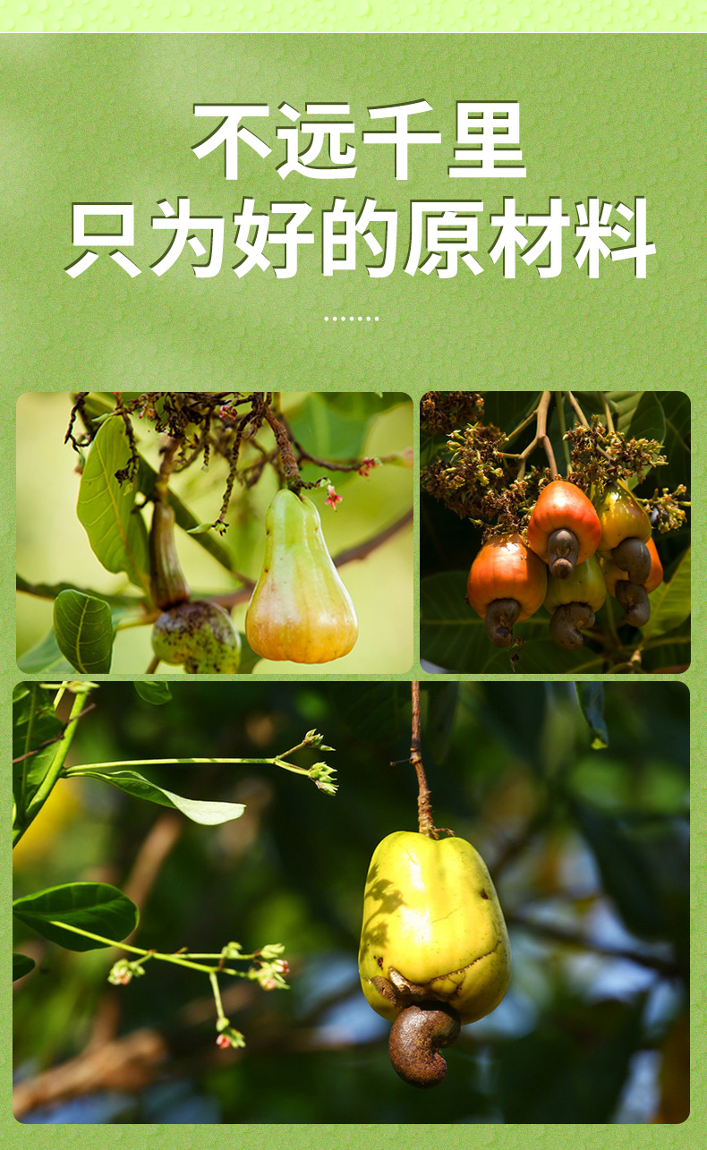 百草味 紫皮腰果 500g/罐 图4