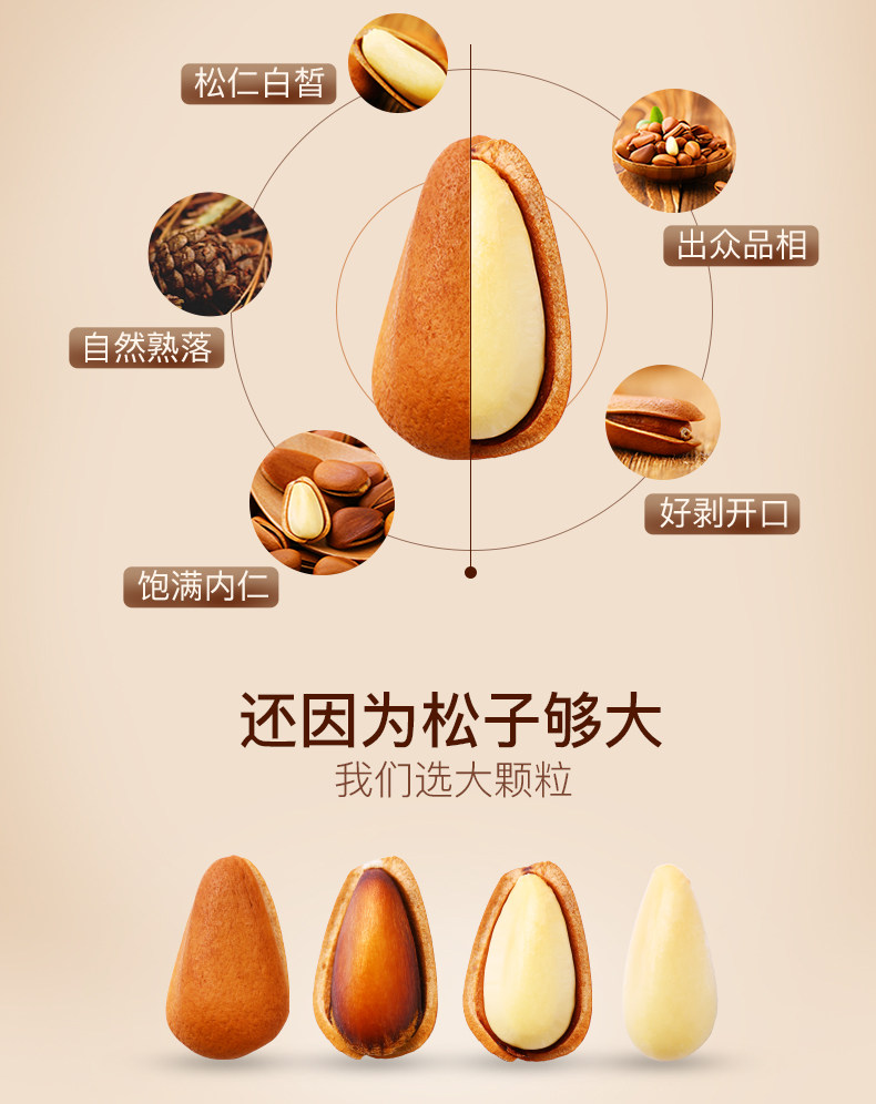 东北松子 PC_05.jpg