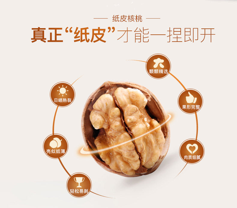 纸皮核桃1_02.jpg