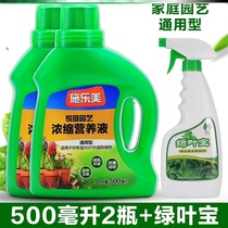 Fruit tree happiness tree nutrition agent cash cow aquatic green basket seed flower jasmine flower fat orchid sunflower flower