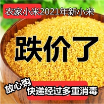 5 catties Shanxi Fenyang millet new rice confinement rice porridge miscellaneous grains small yellow rice 2 5kg Shanxi specialty