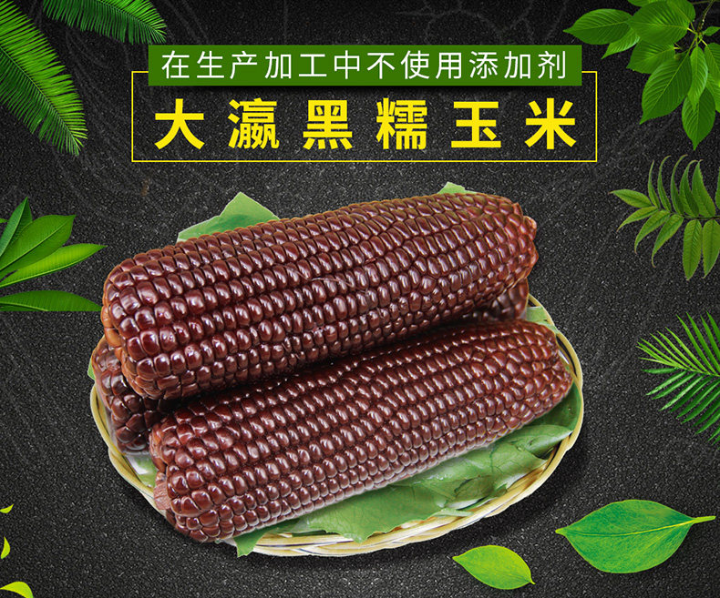 ПК-черный клейкий кукуруза_01.jpg