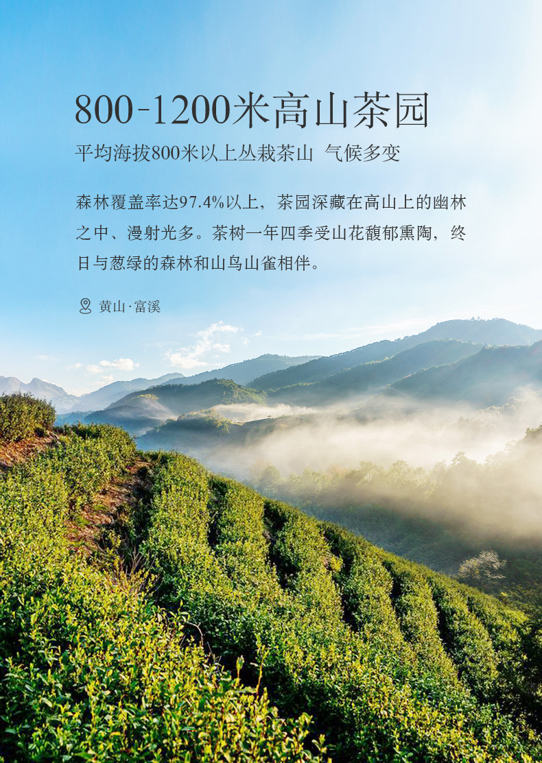 Xie xie № 1 100g_04.jpg