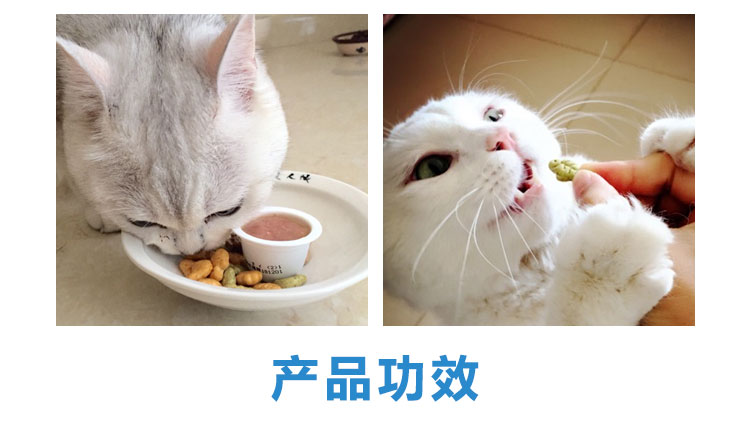 Mèo Đồ Ăn Nhẹ Catnip Lông Bằng Trái Cây Salmon Fish Cookies Mèo Đồ Ăn Nhẹ Hương Vị Gà Mèo Cookies 100 gam thức ăn mèo royal canin
