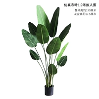 Специальное предложение