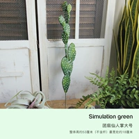 Tuan Fan Fairy Large