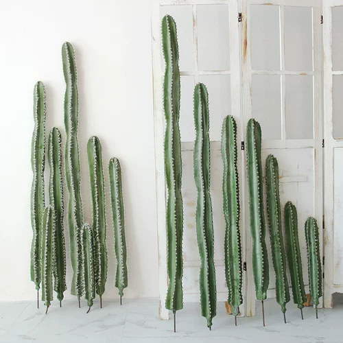 Сумма моделирования небаристого столба Столп Псевдо -Фак -Факский Тропический пустынный растения без шипов большие зеленые растения.