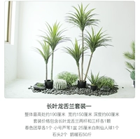 Язык с длинным излучением листьев установил один