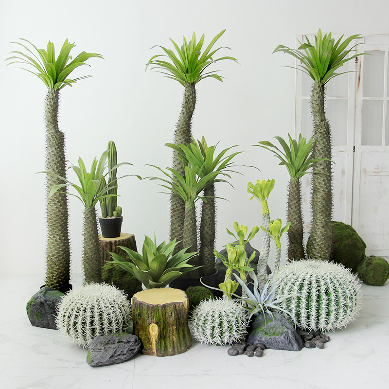 Simulation of African overlord tree large potted tropical desert green plant fake plant shop window landscaping decoration