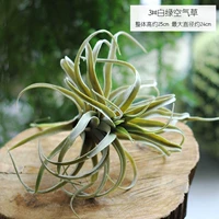 №3 спрей «Белый иней», воздушная трава