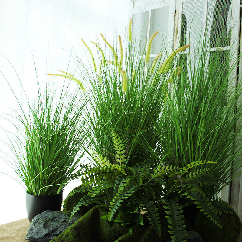 Simulation of Setaria dark green plant ornaments autumn fine grass bush floor large decorative interior scenery