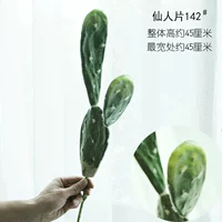 Черная фея 142