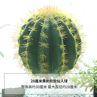 28 сантиметров мягкого колючи