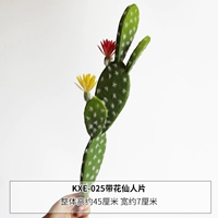 Светло-серый сказочный фильм KXE-025