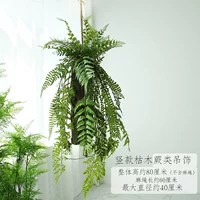 Вертикальное мертвая деревянная подвеска папоротника-