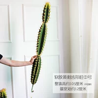 Синие желтые шипии зубной колонны средней номера