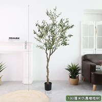 Имитация оливкового дерева высотой 180 см поставляется с соответствующей корзиной для морских водорослей.