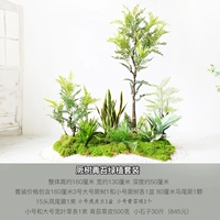 Юшю Мосс Зеленый завод