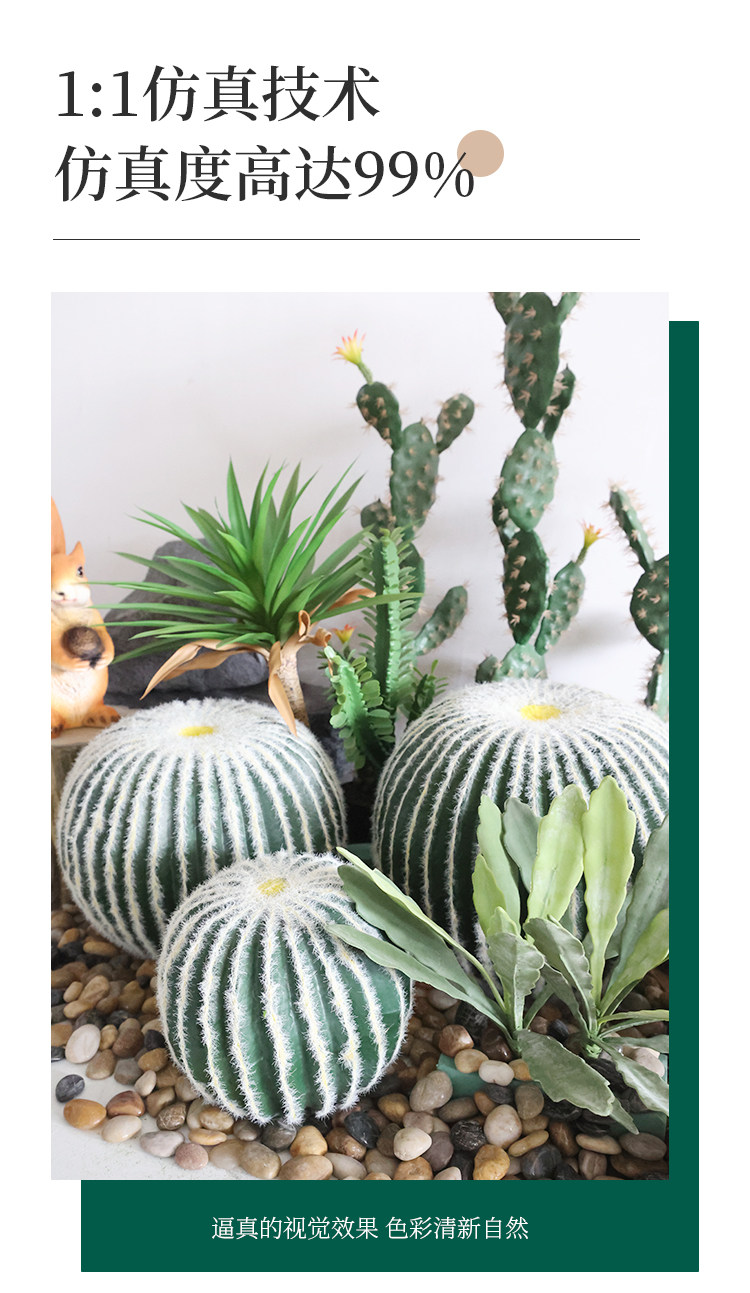 бонсай 大型仿真植物仙人球盆栽热带沙漠绿植景观造景民宿室内外装饰摆件 Xinren furnishings