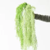 Северная симуляция зеленый лист виноградный бар эугели деньги скалол горный тигр свадебный цветочный художественный художественный