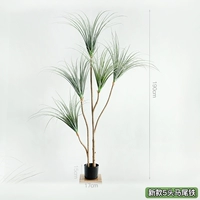 Новый утюг с 5 головками для хвоща.