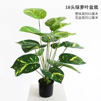 Новое горшечное растение с золотыми листьями кудзу, 18 головок.