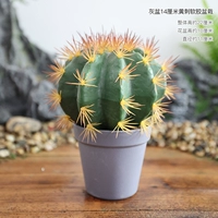 Серый горшок 14 см, растение в горшке из мягкого пластика с желтыми шипами.