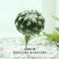 Светлый желтый сказочный шарик G38