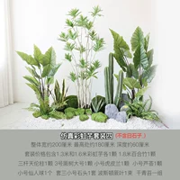 Моделирование радуга Таро набор 4