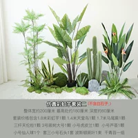 Симуляция радуга Таро набор 2