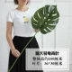 Увеличенная доля черепаха