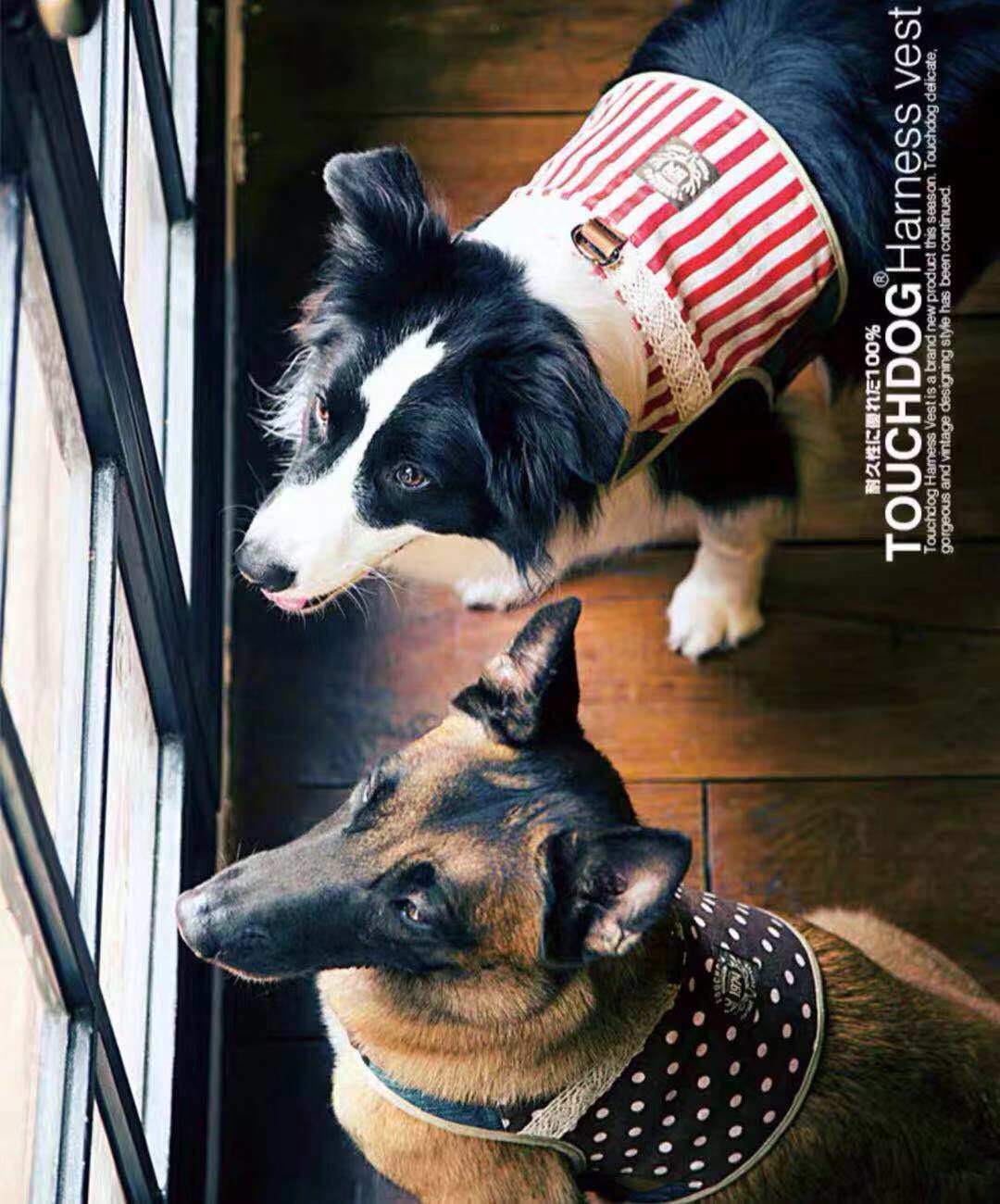 Unpacked Specials Touchdog It It Old Comfortable Corset Corsets