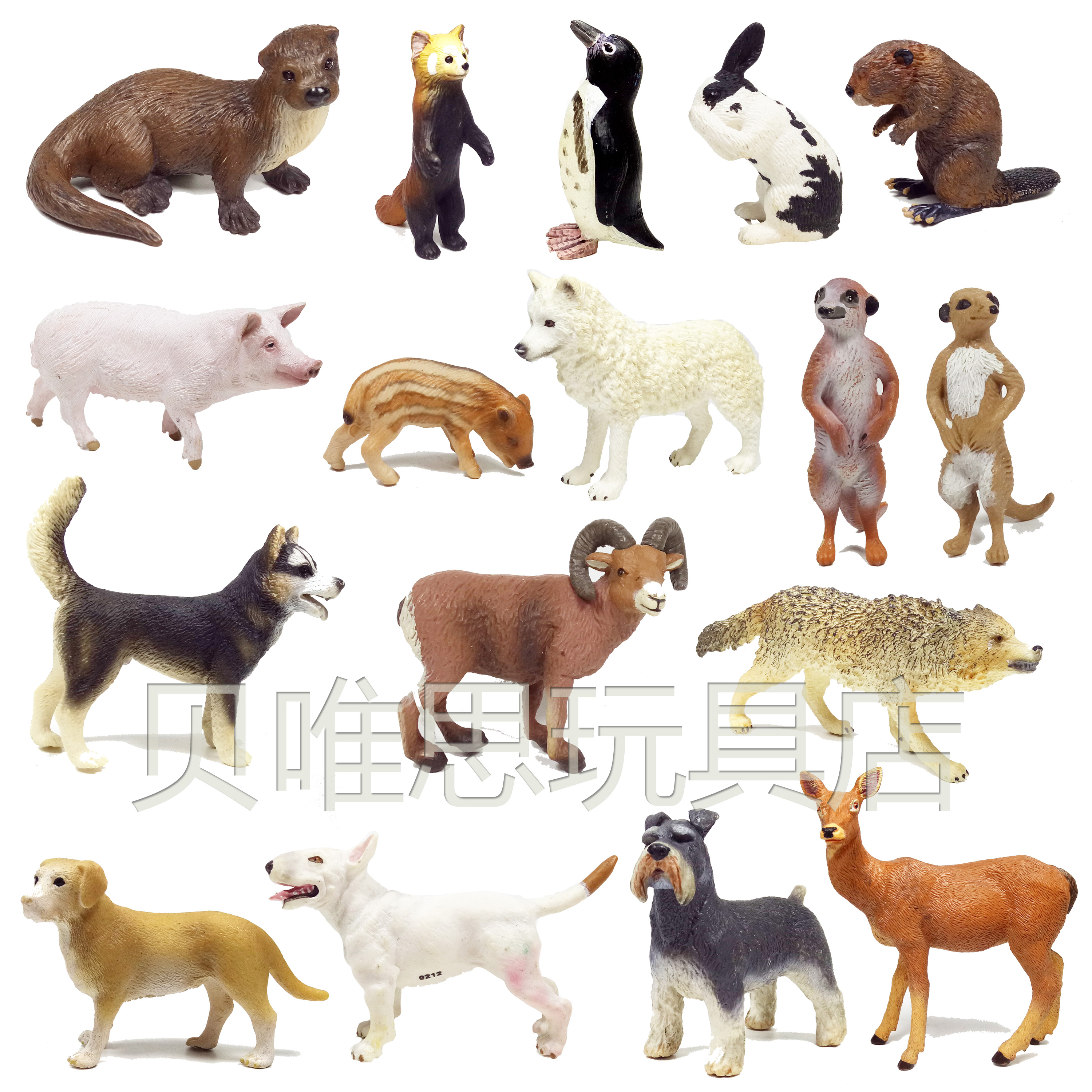 Schnauzer Bull Terrier Beaver Otter Raccoon Penguin Deer Sheep Cat Ferret Wild Boar Wolf Rabbit Model
