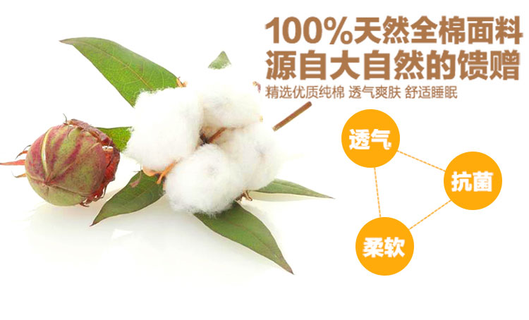 Cotton sàn nệm bìa có thể tháo rời giường tấm bạt lò xo bao gồm tất cả bao gồm giường đơn đệm bảo vệ bông dây kéo tấm