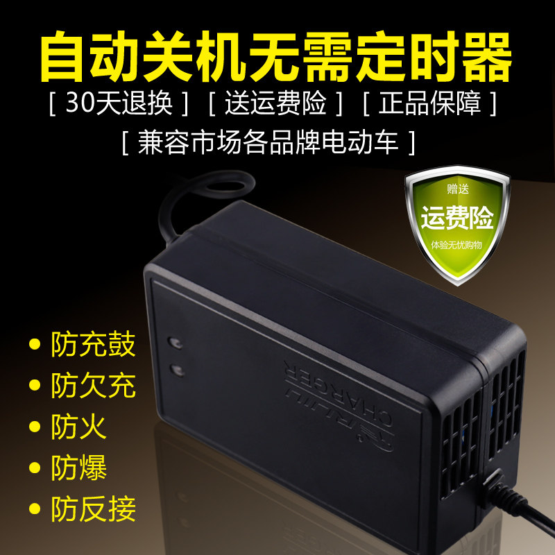 Electric car battery charger 48V12AH20AH60V20AH72V20AH Yadia Emma New Day Speed Picchi