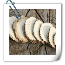 Angelica slices stewed meat seasoning spice condiment for free and powder two catties