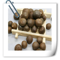 Herbal tea Tree seed Mountain Tree seed 500 gr Tea tree seed Mountain tea seed Oil tea seed New stock