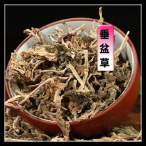 Chinese herbal medicine pituitary grass pituitary grass plant dried goods melon seed straw edible tea without sulphur Chinese herbal medicine 500g
