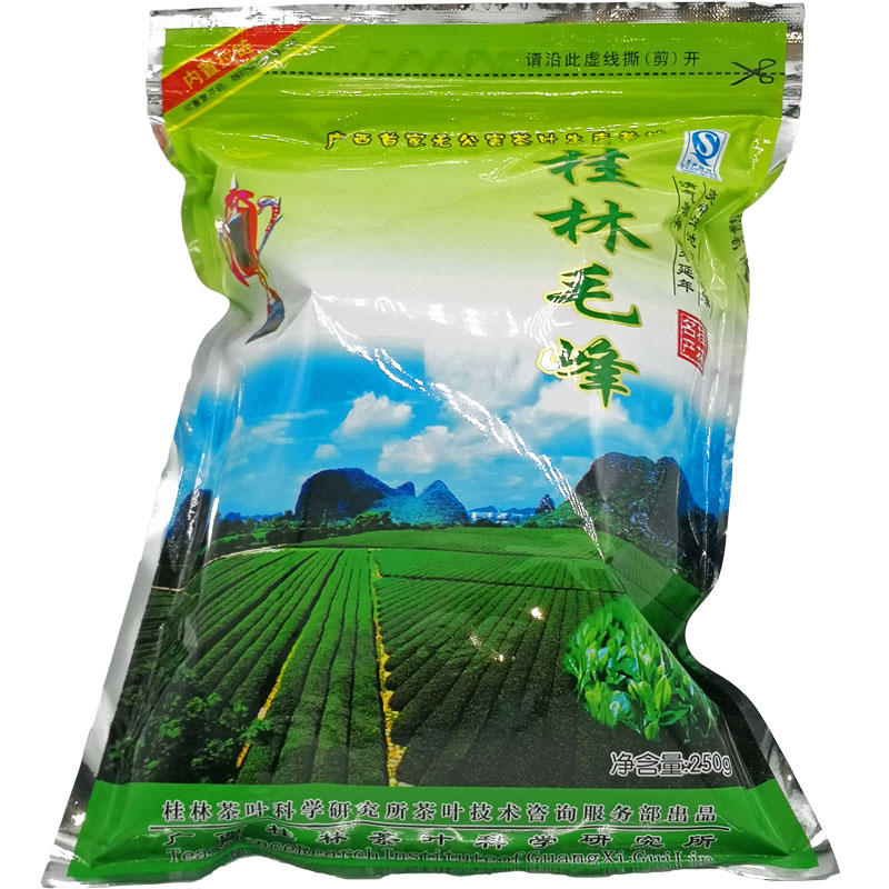 Special class Mao Feng Shuanggui Guilin Tea Section Guilin Mao Feng 250g 2020 New Tea Guilin Green Tea