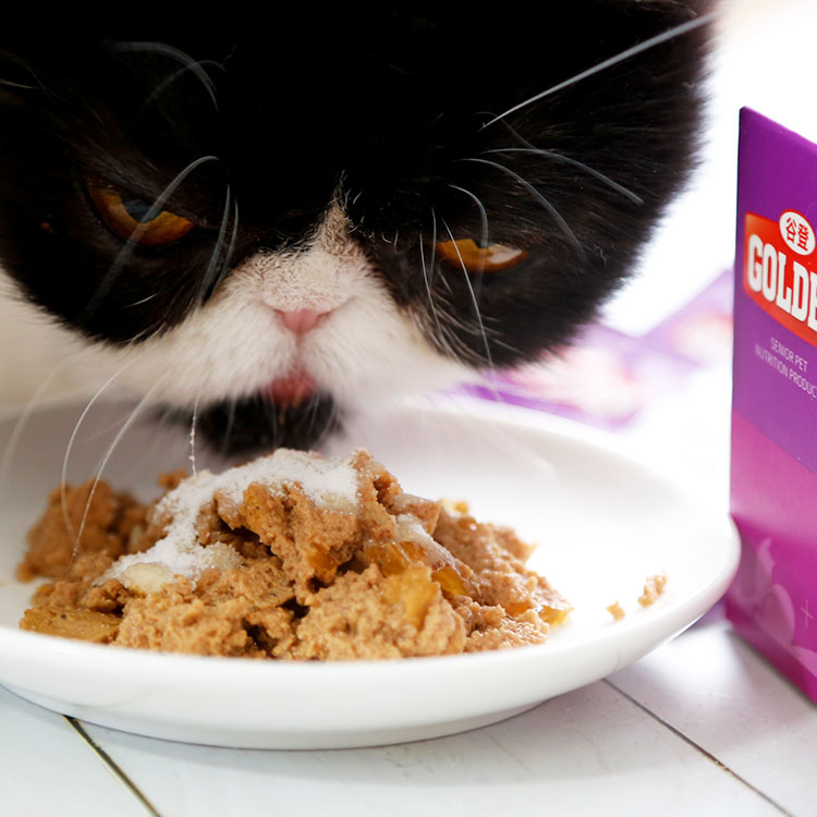 Renke Pet GOLDEN Gudeng Cat Probiotic Sáu loại nấm Điều hòa miễn dịch tăng cường tiêu hóa 3g * 8 túi - Cat / Dog Health bổ sung sữa chó con