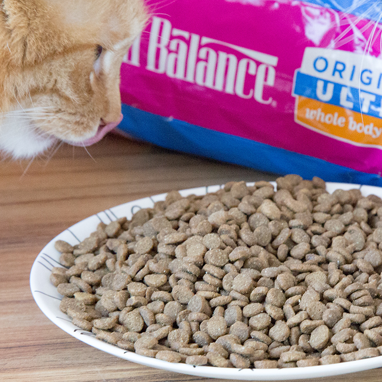 可 包 原装 天 衡 宝 雪山 特级 全 猫粮 鸡肉 鱼 15 磅 成 幼 猫 主粮 - Cat Staples royal canin cho mèo con